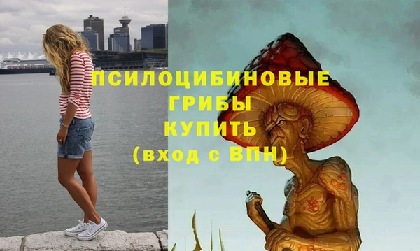амф Переславль-Залесский