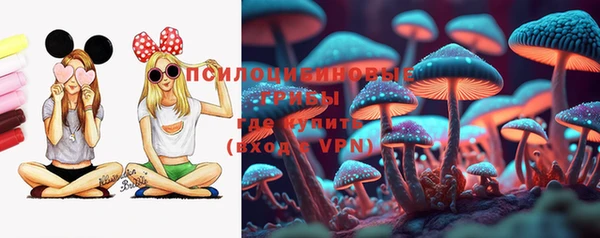 ECSTASY Покровск