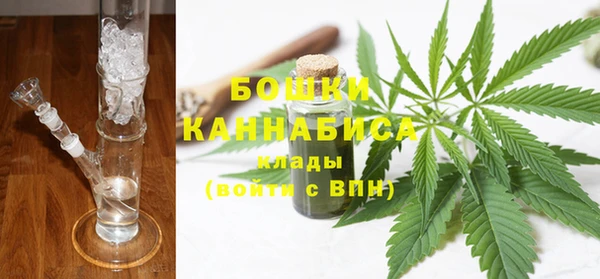 индика Козловка