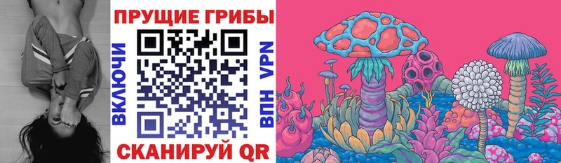 blacksprut ТОР  Котлас  Псилоцибиновые грибы мухоморы 