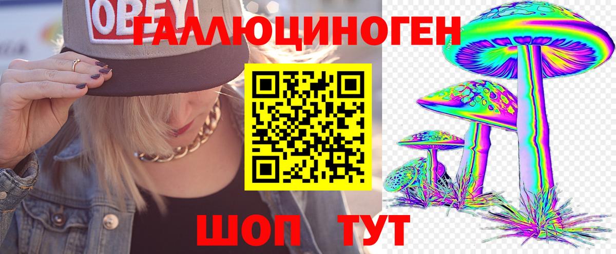 Псилоцибиновые грибы Magic Shrooms  Вход с VPN  Котлас  Псилоцибиновые грибы Psilocybine cubensis 