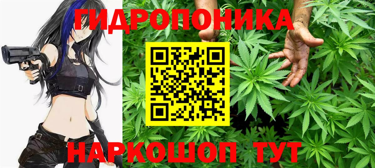 МЕТАДОН Котлас